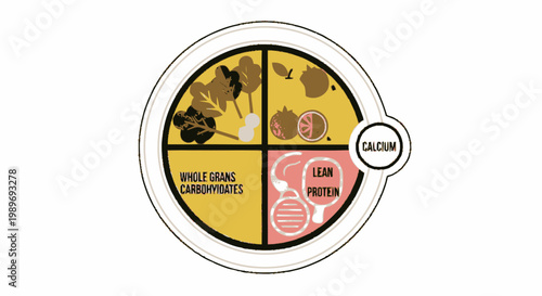 Healthy Balanced Diet Plate Illustration featuring Nutrition Food Groups and Calcium Guide