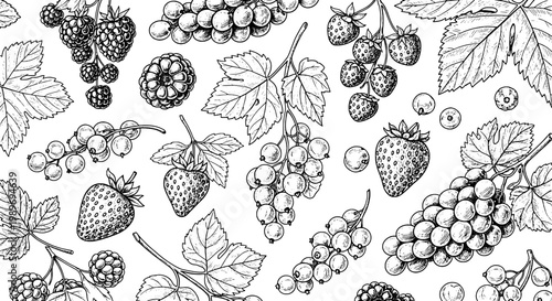 Berries hand drawn set with strawberries, grapes, leaves, and blackberry clusters in a detailed illustration style on white background.