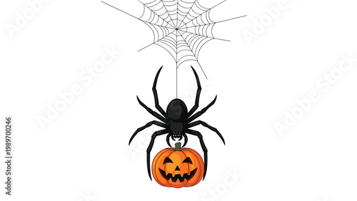 Black spider hanging from web holding carved Halloween pumpkin as spooky decoration for holiday celebration and seasonal theme.
