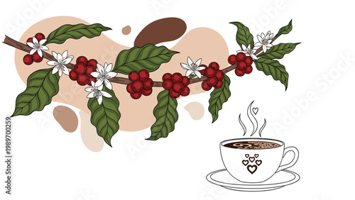 Coffee plant branch with ripe red berries and white flowers next to hot cup of steaming coffee for cafe branding and marketing.