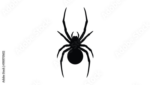 Stark black silhouette of a spider with long legs standing on a plain white background for minimalist graphic design projects.