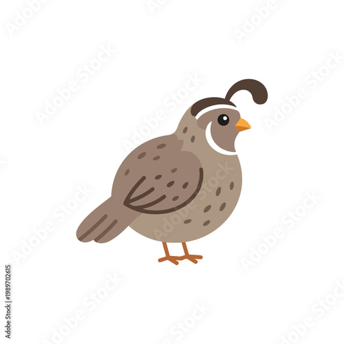 Quail bird icon, simple flat vector of small poultry farm animal.