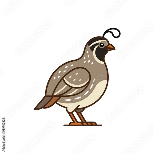 Quail bird icon, simple flat vector of small poultry farm animal.
