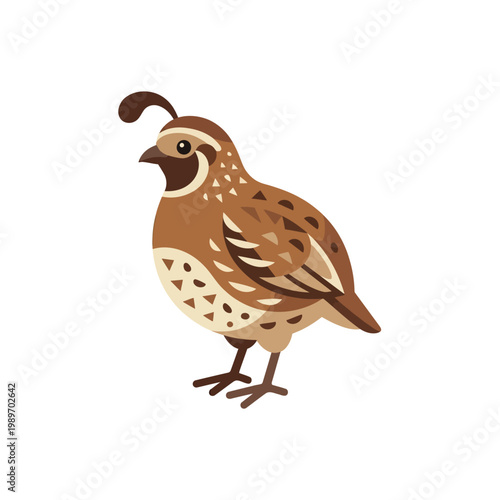 Quail bird icon, simple flat vector of small poultry farm animal.