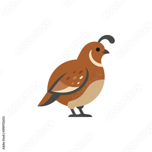 Quail bird icon, simple flat vector of small poultry farm animal.