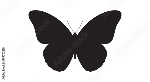 Butterfly silhouette black isolated on white background vector illustration.