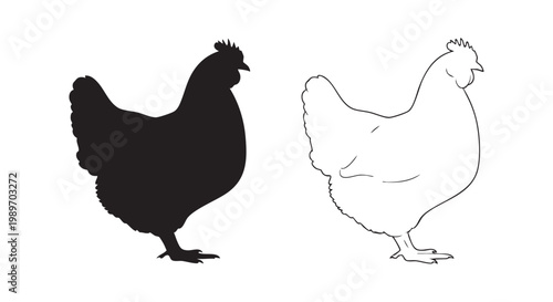 Chicken silhouette and outline drawing isolated on white background for farm and livestock branding and culinary designs.