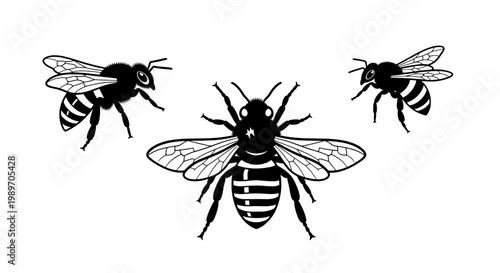 Bees illustration set with black and white stripes and wings featuring insects, nature, wildlife with pollinators and honey elements for hive, flying
