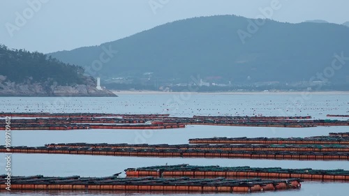 Scenic coastal landscape with abalone farms in the sea of Wando Korea 한국 전라남도 완도 바다의 전복 양식장 풍경
