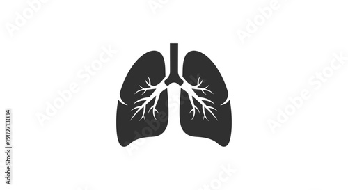 Human lungs with bronchial tree.