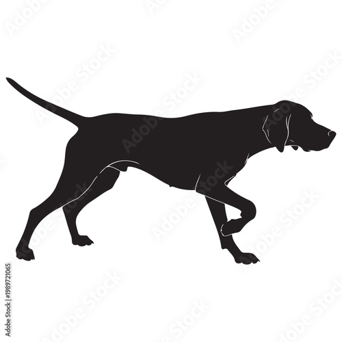 Canvas Print German shorthaired pointer dog silhouette in pointing stance vector illustration