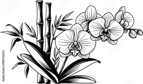Orchid Flower with Bamboo – Botanical Floral Black and White Illustration Nature Vector Design
