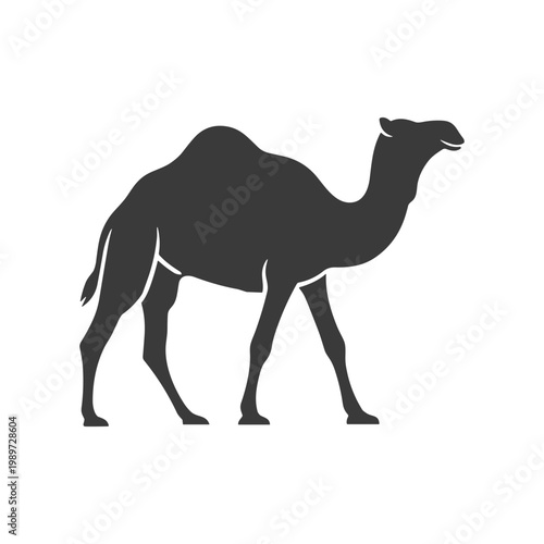 Silhouette of a camel walking in a desert-like environment