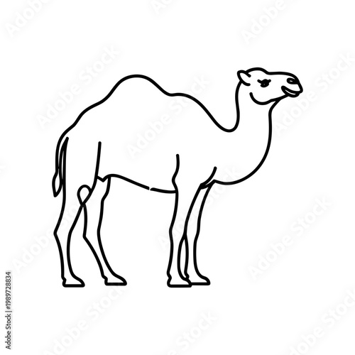 A mother camel and her young one standing side by side in a desert setting