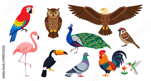 A colorful collection of diverse bird species displayed in a flat vector illustration