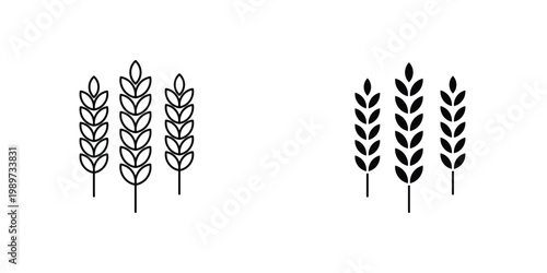 Wheat icon graphic design vector symbols. Best for Graphics