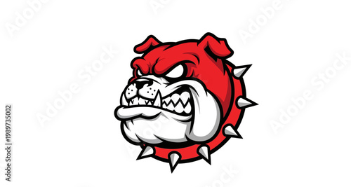 A fierce red bulldog head with sharp teeth and spiked collar illustration