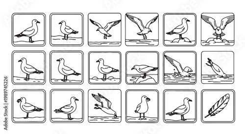 Minimalist seagull icon set, 18 black and white bird vector illustrations, coastal wildlife line art collection, nautical beach bird symbols