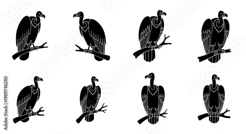 Vulture Silhouette Collection: Perched Birds of Prey in Black and White