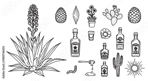 Vintage agave and tequila vector set, hand drawn mexican alcohol production icons, blue agave plant and mezcal bottles collection, black and white line art