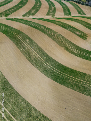 An aerial view of the undulating agricultural fields in the Moravia region, featuring precisely planted green crop stripes that follow the natural contours of the hills near Kunkovice