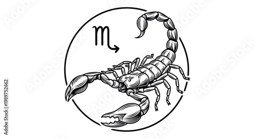 Ornate black and white engraving of a scorpion within a circular frame representing the Scorpio zodiac sign.
