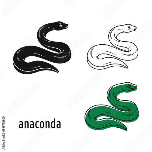 Anaconda snake vector illustration featuring green color silhouette and line art versions.