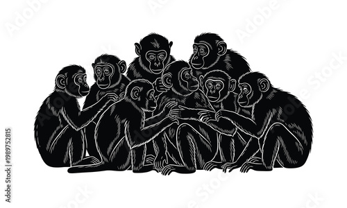 Group of monkeys sitting together grooming each other isolated on white background.