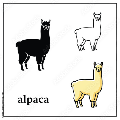 Alpaca vector illustration black silhouette and outline icon mammal animal set.