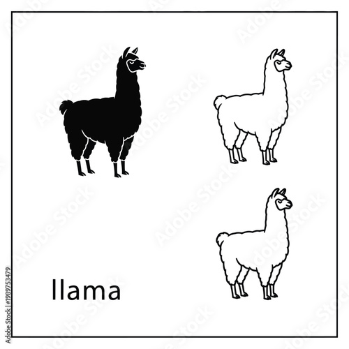 Black silhouette llama outline and colored llama drawing on transparent background.