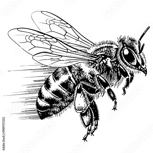 A detailed illustration of a bee flying quickly with motion lines behind it on a white background with gg.ai reference
