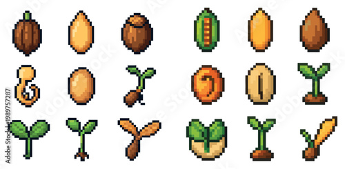 Seed icons with acorn seedling corn pixel