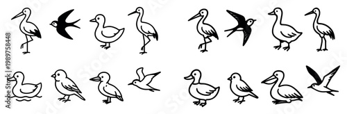 Bird icons with duck stork swallow outline