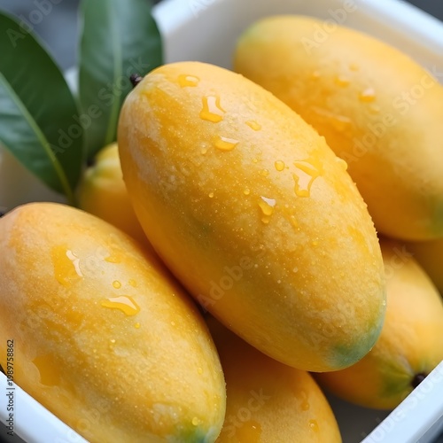 Fresh Ripe Yellow Mangoes with Water Droplets