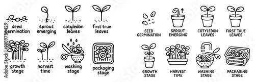 Plant icons with seed sprout leaves minimal