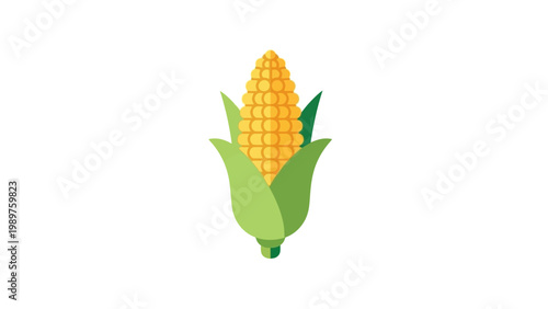 Illustration of a corn cob with green husk in a minimalistic style