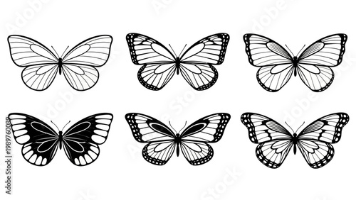 Collection of detailed black and white butterfly illustrations with intricate wing patterns for