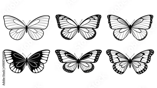 Obraz Collection of detailed black and white butterfly illustrations with intricate wing patterns for