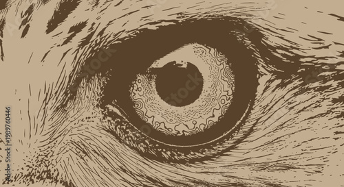 A close-up illustration of a wild animal's eye showing detailed fur and intense gaze in a monochromatic style