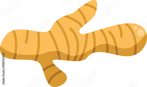 Organic ginger rhizome ingredient for healthy food and natural medicine