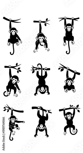 Cute Cartoon Monkeys Swinging on Tree Branches, Vector Illustration