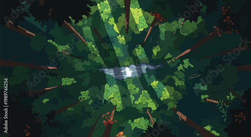 Aerial view of a dense forest canopy with a sunlit river below, abstract nature scene.