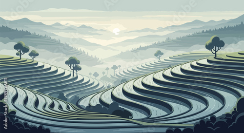 Misty Rice Terraces Landscape at Sunrise, Agricultural Asian Scenery