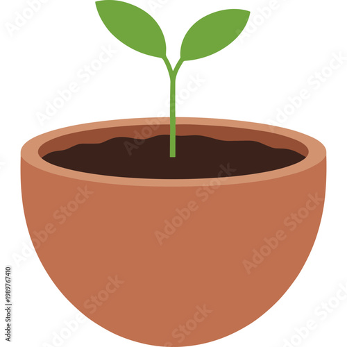 A small green plant grows in a brown terracotta pot indoors.