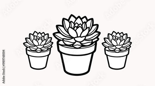 Set of minimalist succulent plants in white pots for fresh and modern nursery room decor