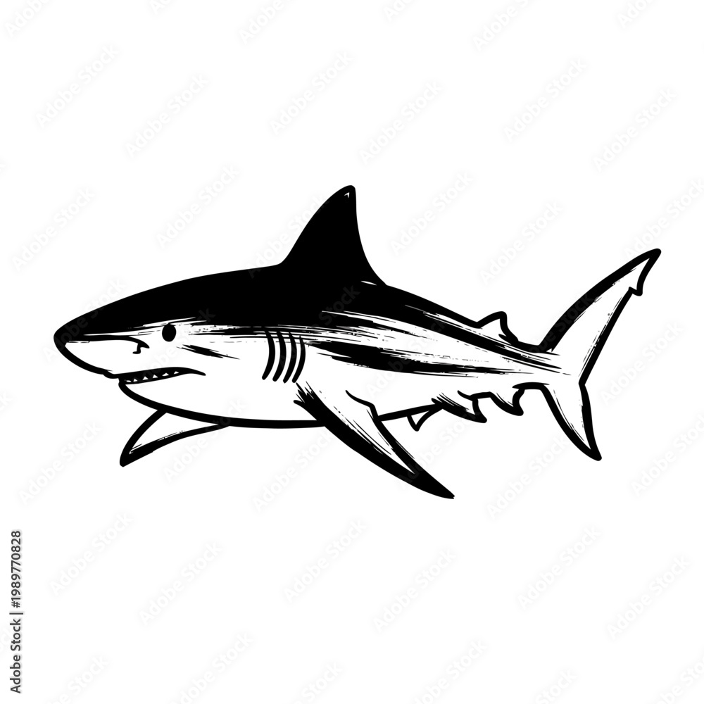 Fototapeta premium Black and White Shark Illustration, Ocean Predator, Marine Life