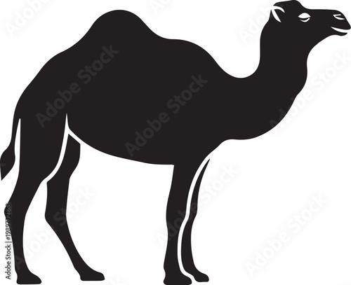 Silhouette of a two-humped camel standing with white