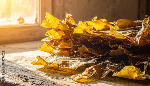 Sunlit sheets of seaweed arranged on a wooden table near a window