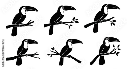Set of Six Black Silhouette Toucans Perched on Branches with Leaves