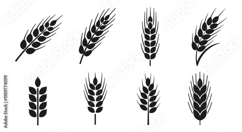 Set of Wheat Ears Icons: Diverse Styles, Black Silhouettes on White Background